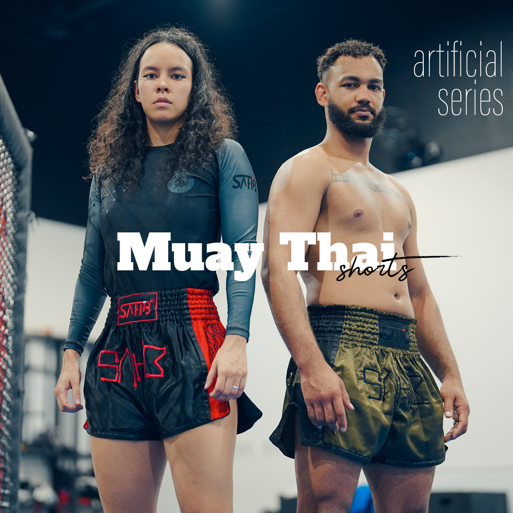 What Are Combat Sports? MMA, Boxing & Martial Arts Explained (2026 ...