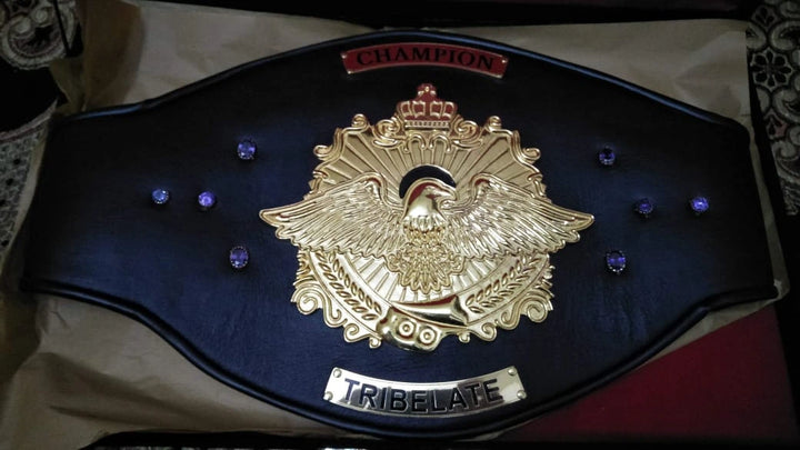 High-resolution close-up of decorative stones on the custom championship belt.