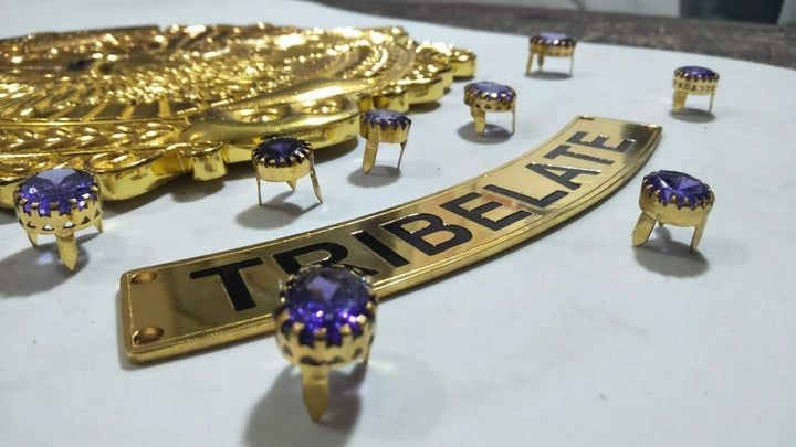 Full set of metal accessories for building a custom championship belt.