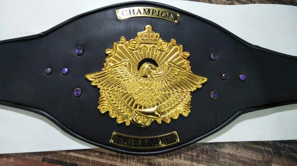 Close-up of engraved center plate with logo on custom title belt.