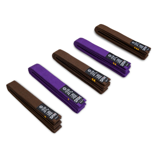 Karate belt collection display – purple and brown belts with 1 to 3 gold stripes