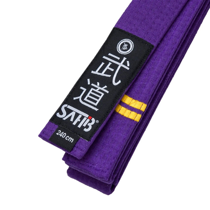 Detail view of purple belt featuring two gold rank stripes
